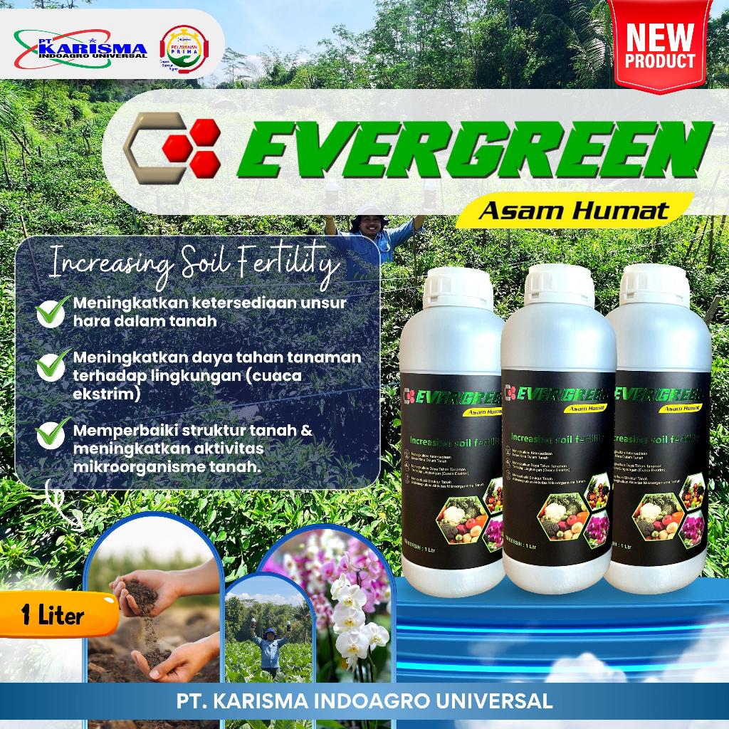 EVERGREEN Asam Humat / Meningkatkan Unsur Hara Tanah, dan Memperbaiki Struktur Tanah / EVER GREEN AS