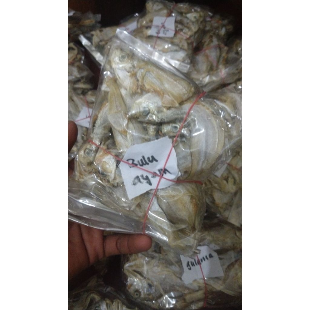 

ikan asin bulu ayam