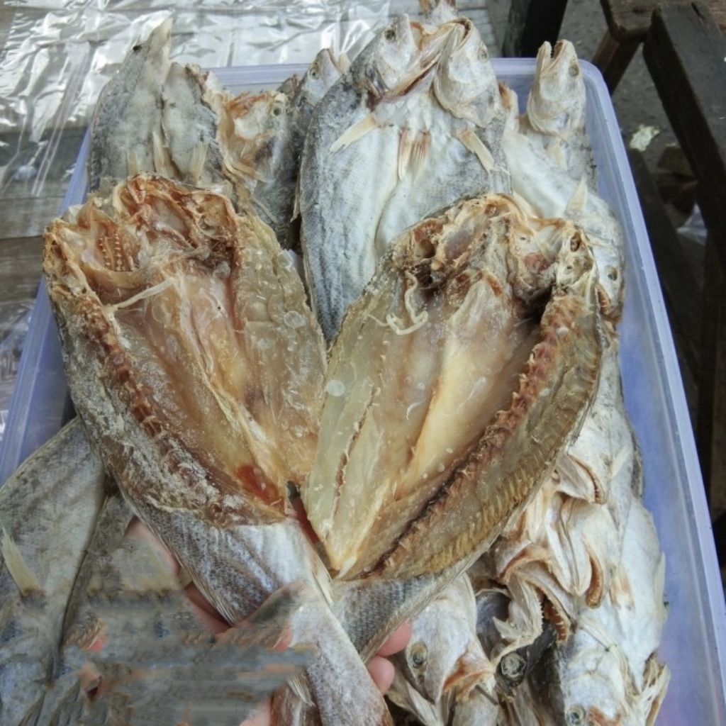 

ikan asin gulama
