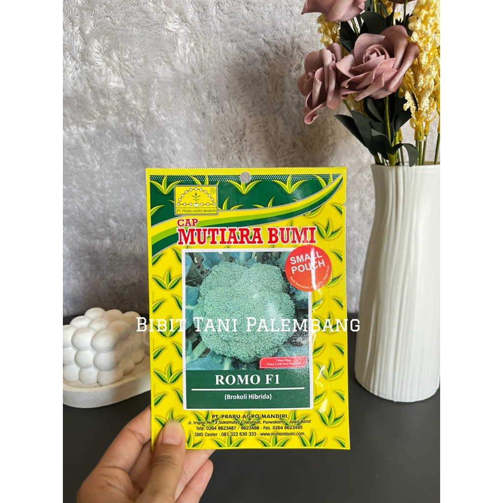 

Benih Brokoli Hibrida
