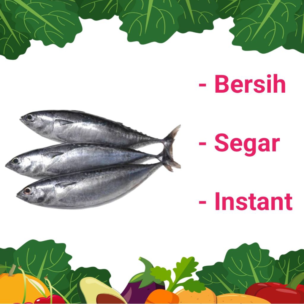 

IKAN TONGKOL SEGAR & BERSIH - PALEMBANG