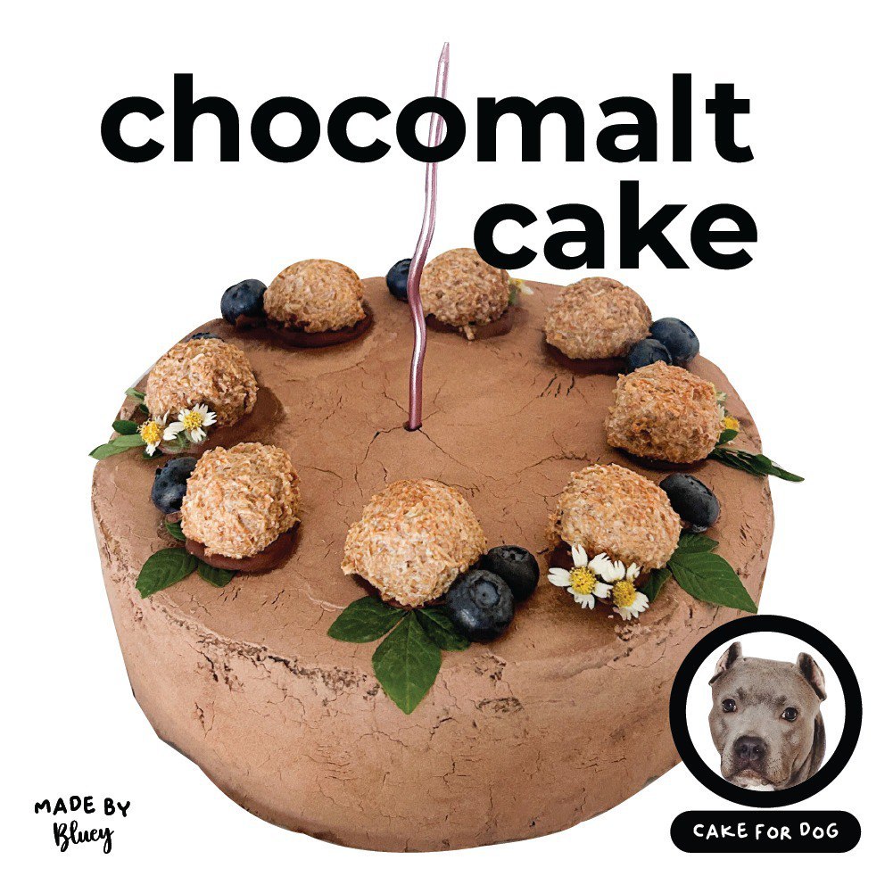 Choco ( Carob ) Malt Cake | Kue Ulang Tahun Anjing Kucing | Birthday Cake For Dog Cat | Homemade Dog