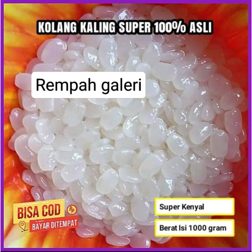 

1 kg kolang Kaling Caruluk cangkaleng mentah fresh langsung dari petani