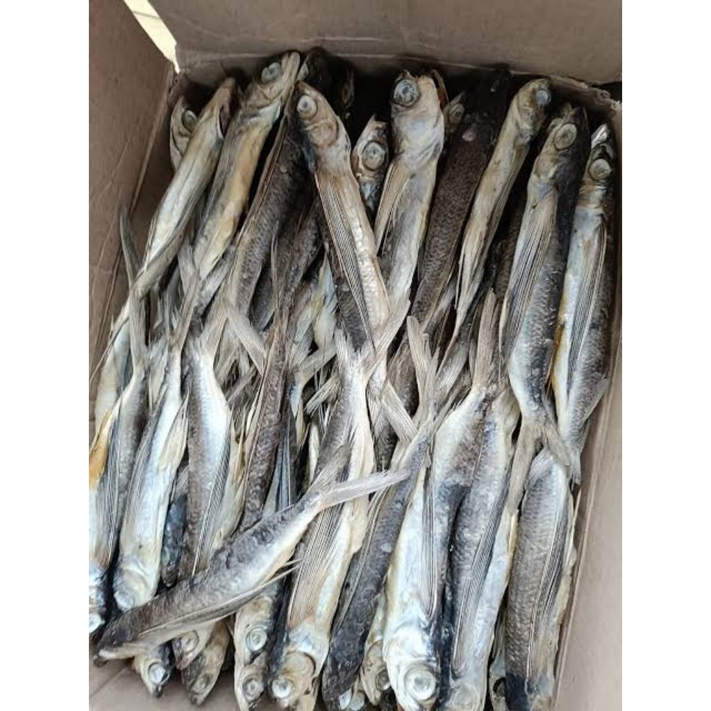 

IKAN ASIN INDOSIAR *Original Premium 100gr*