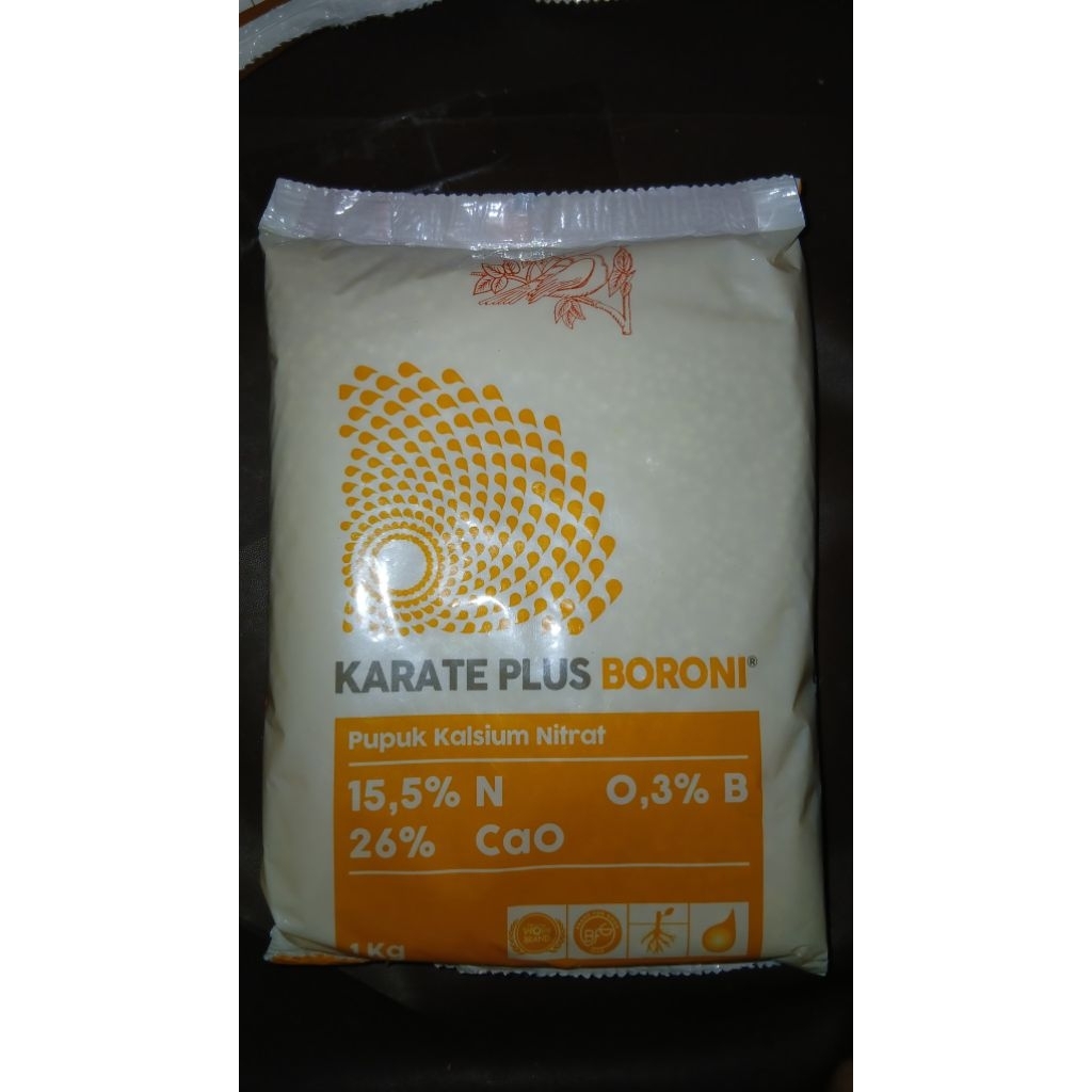 KARATE PLUS BORONI