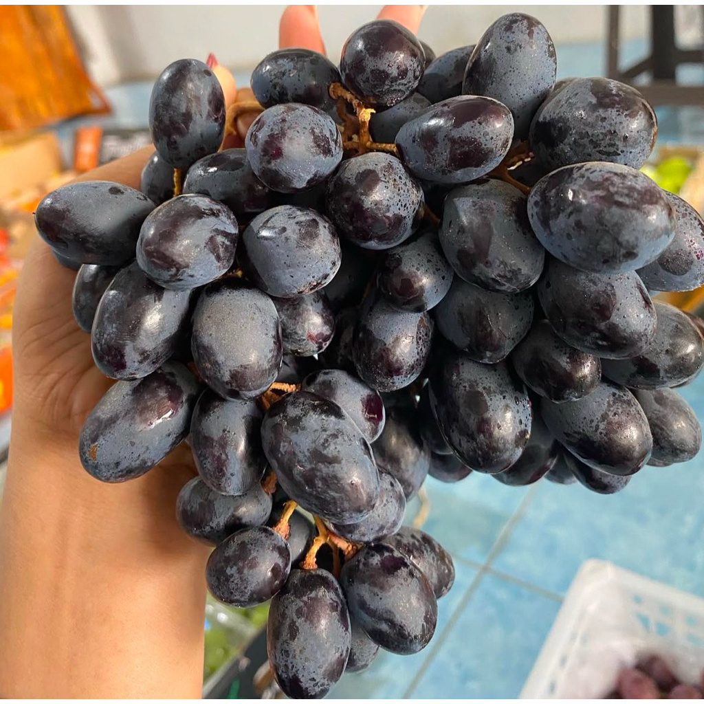 

Anggur Hitam Autum Royal Pack 500gr