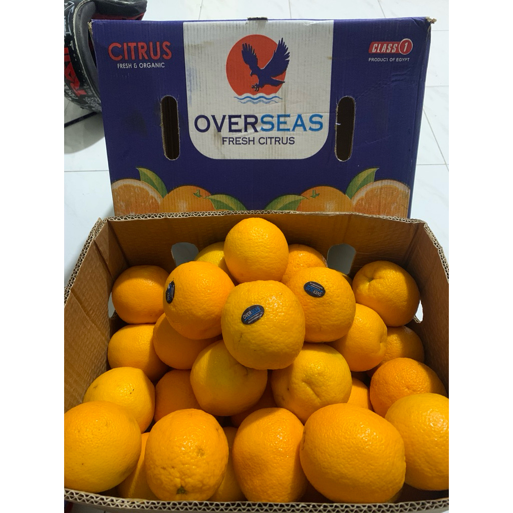 

Jeruk Sunkist / Navel / Valencia Egypt