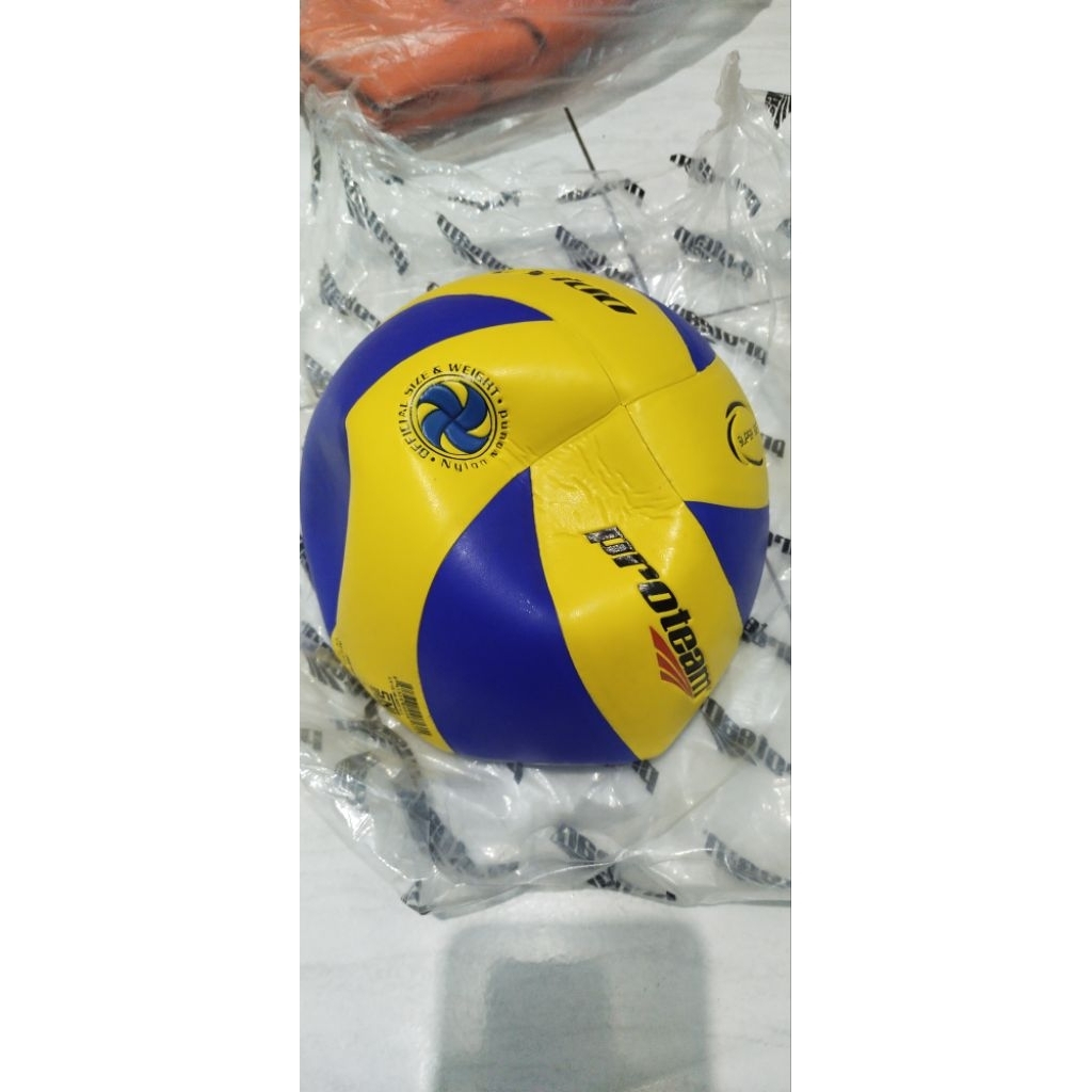 Bola Voli Proteam