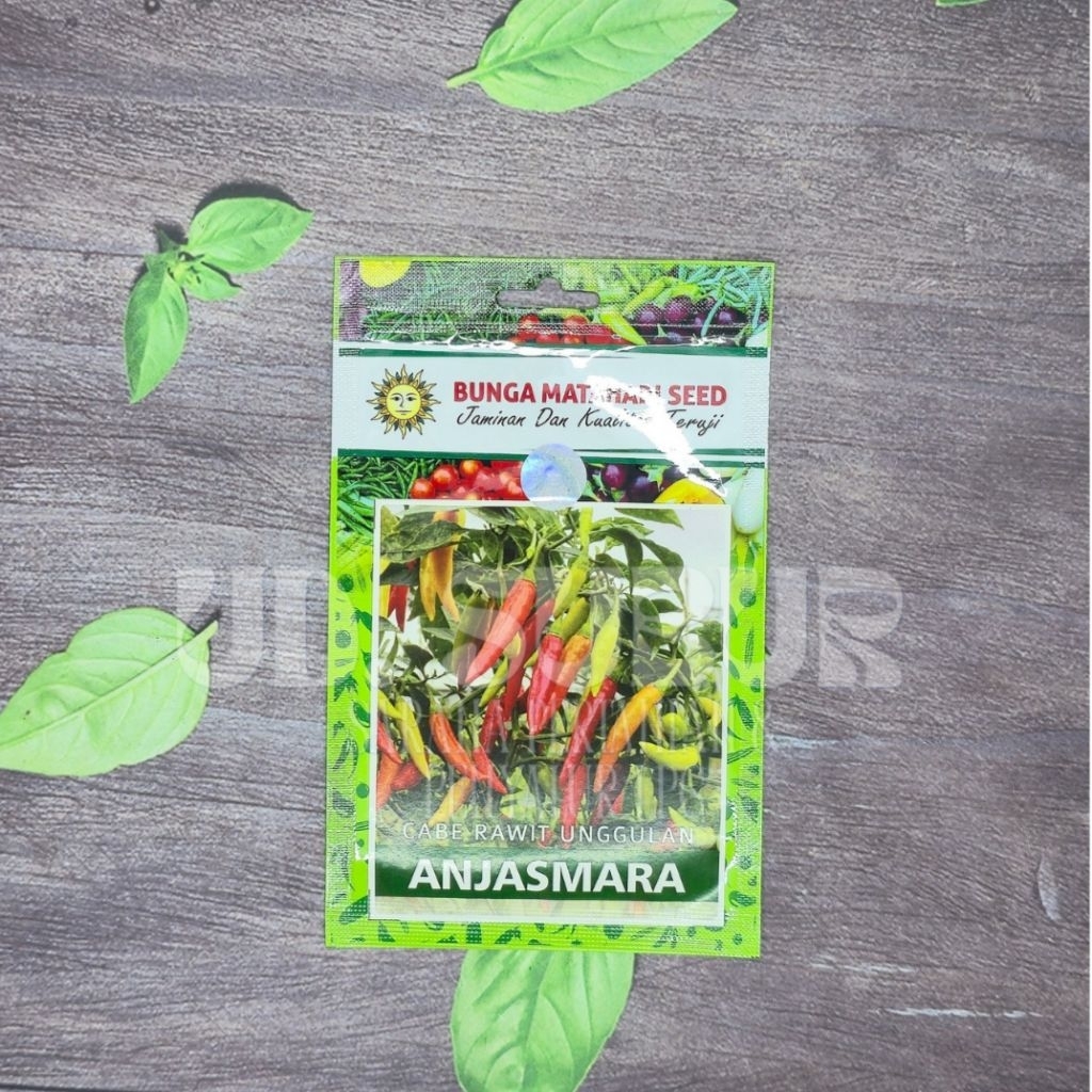 BENIH CABE RAWIT UNGGULAN ANJASMARA - JAMINAN DAN KUALITAS TERUJI (Netto: 200 Butir).