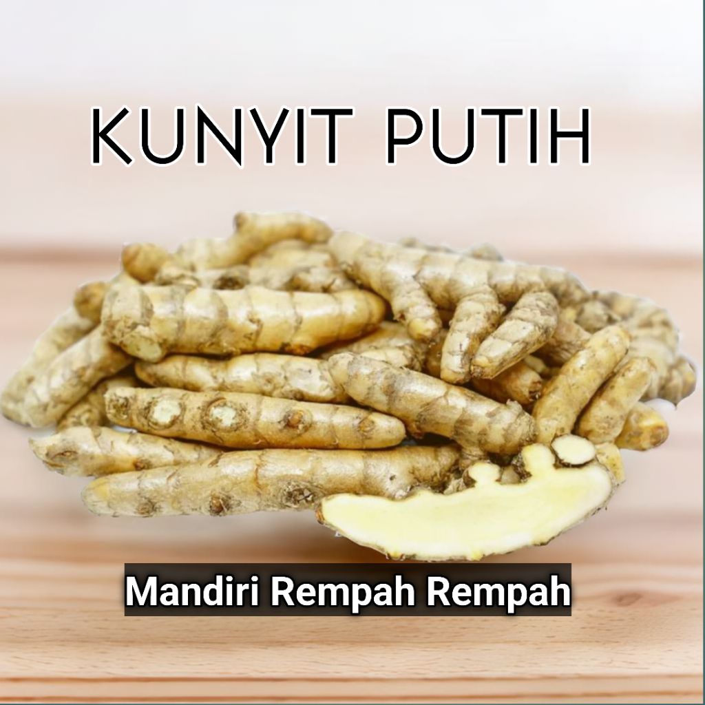 

Kunyit Putih 1Kg / Kunyit Kunir Temu Putih Asli Ori Masih Fresh