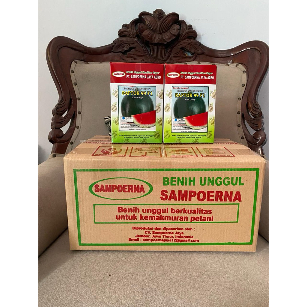 

semangka non biji bulat gelap Raptor 99 F1