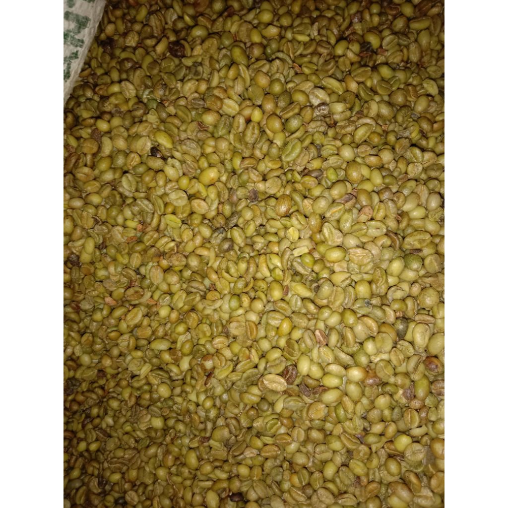 

Biji kopi Nangka gunung Anjasmoro (Exselsa/Liberica) kopi Wonosalam 1kg