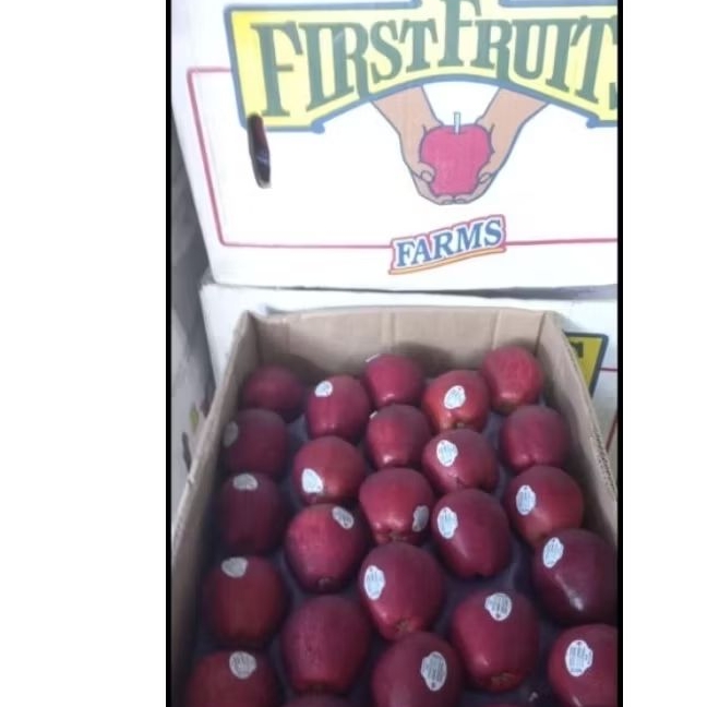 

Apel Merah USA Size 138 1 Dus 20 Kg Per Box Fresh Jogja