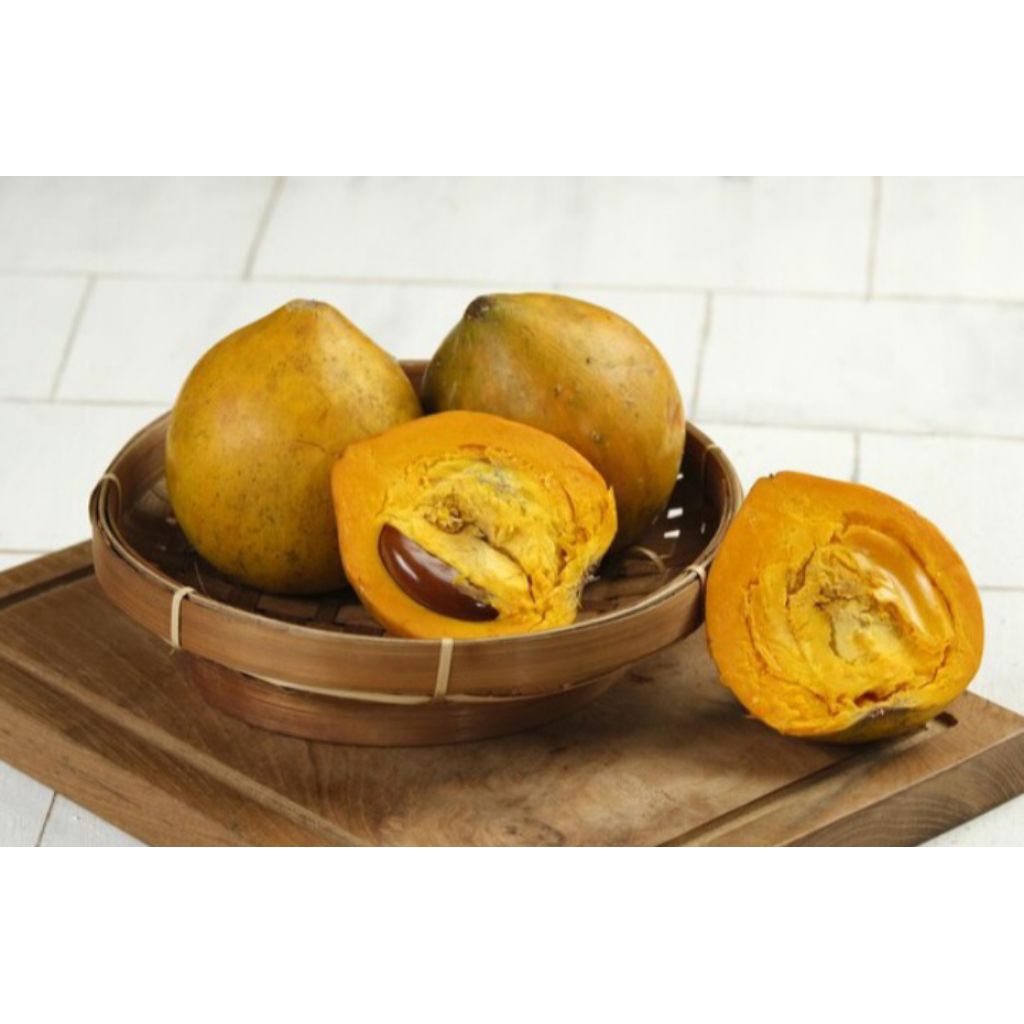 

Buah Alkesah Campoleh Sawo Mentega Kemasan 1 kg bisa cod