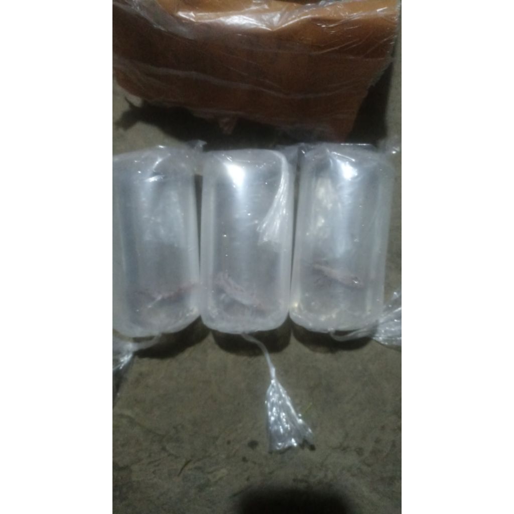 obat biru ikan cupang