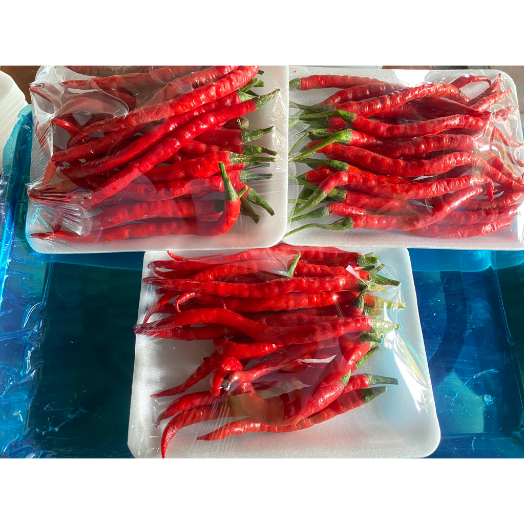 

Cabe merah keriting 100gr