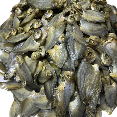 

Ikan Sepat Asin Kalimantan – Kualitas Pilihan & Siap Goreng