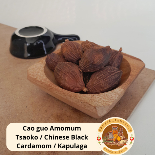 

Cao guo Amomum tsaoko / Chinese Black Cardamom/ Kapulaga Hitam