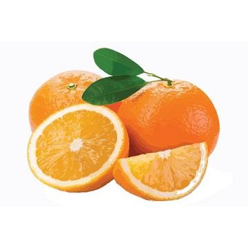 

Jeruk Vit C Orange - Vitamin C - Mrh