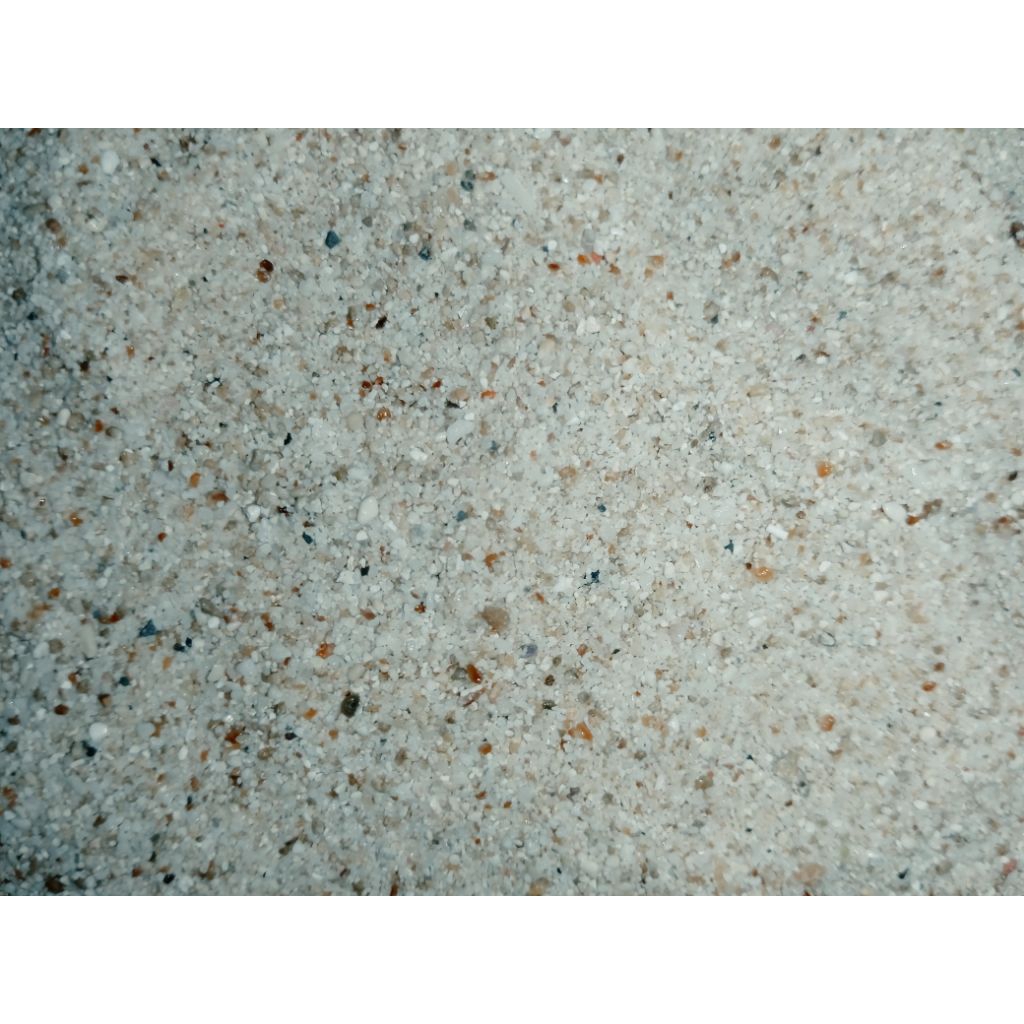 Pasir Laut halus asli