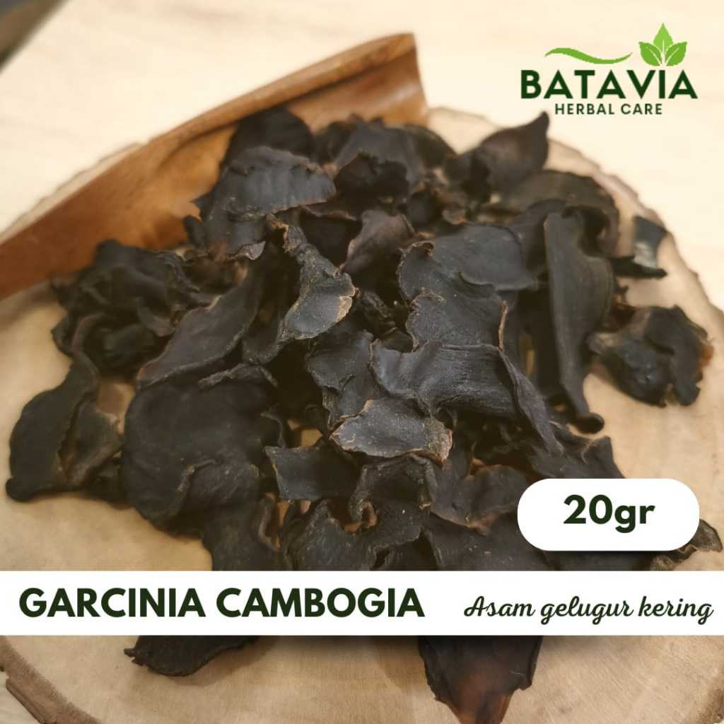 

Garcinia Cambogia Tea Teh Diet Asam Gelugur Kering Premium Herbs Time 20gr