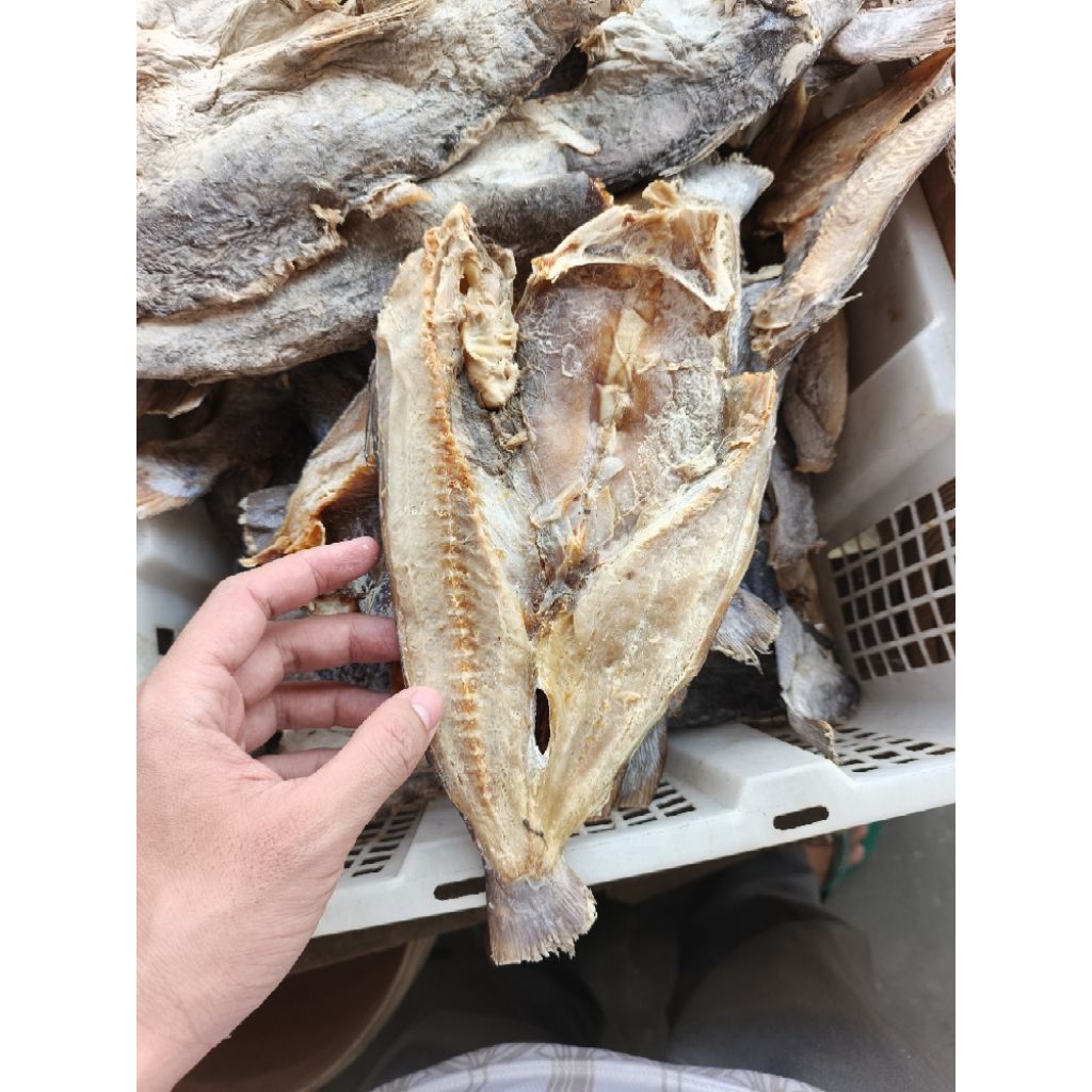 

Ikan Asin Baung laut