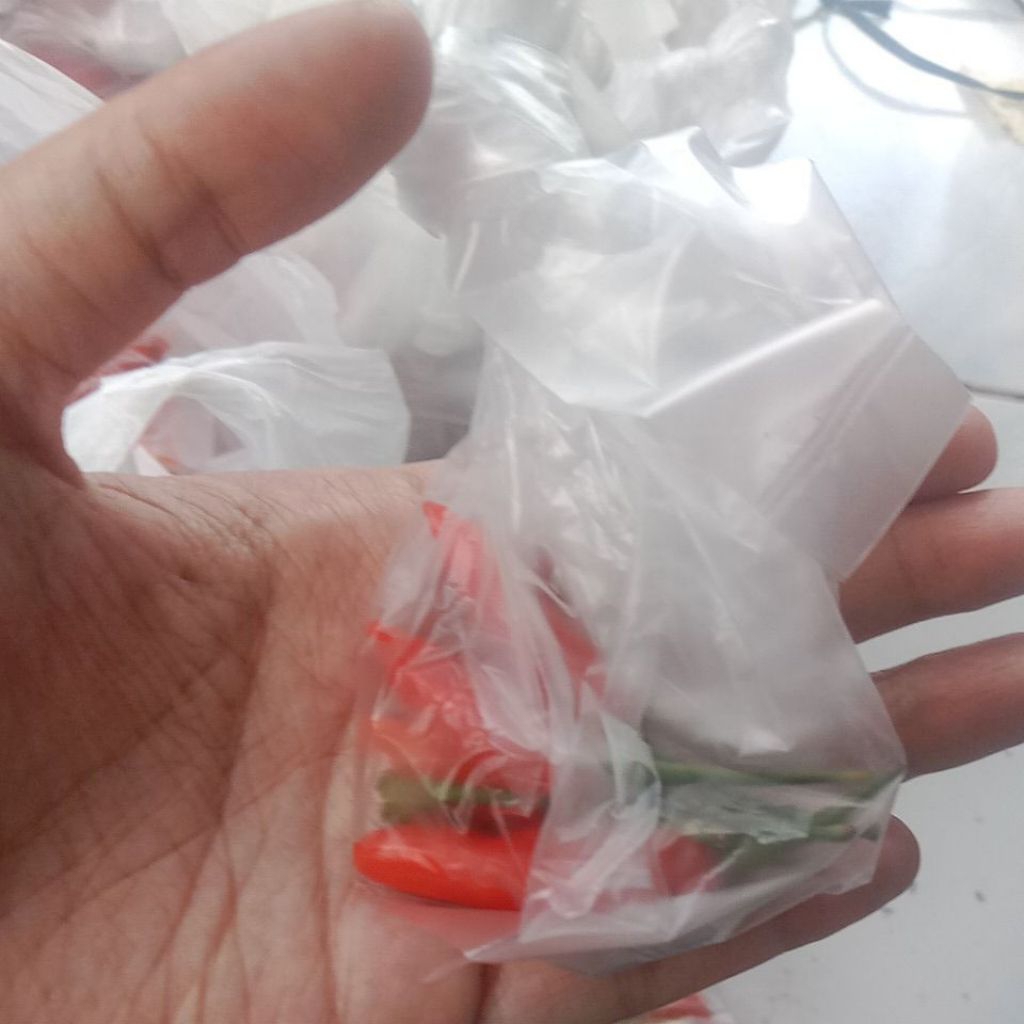 

Cabe rawit ecer isi 5 & 10