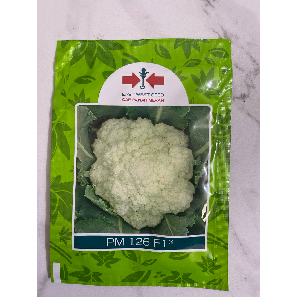 Benih bunga kol PM126 F1 10 gram bungkul hibrida pm 126 panah merah kembang kol pm126 f1