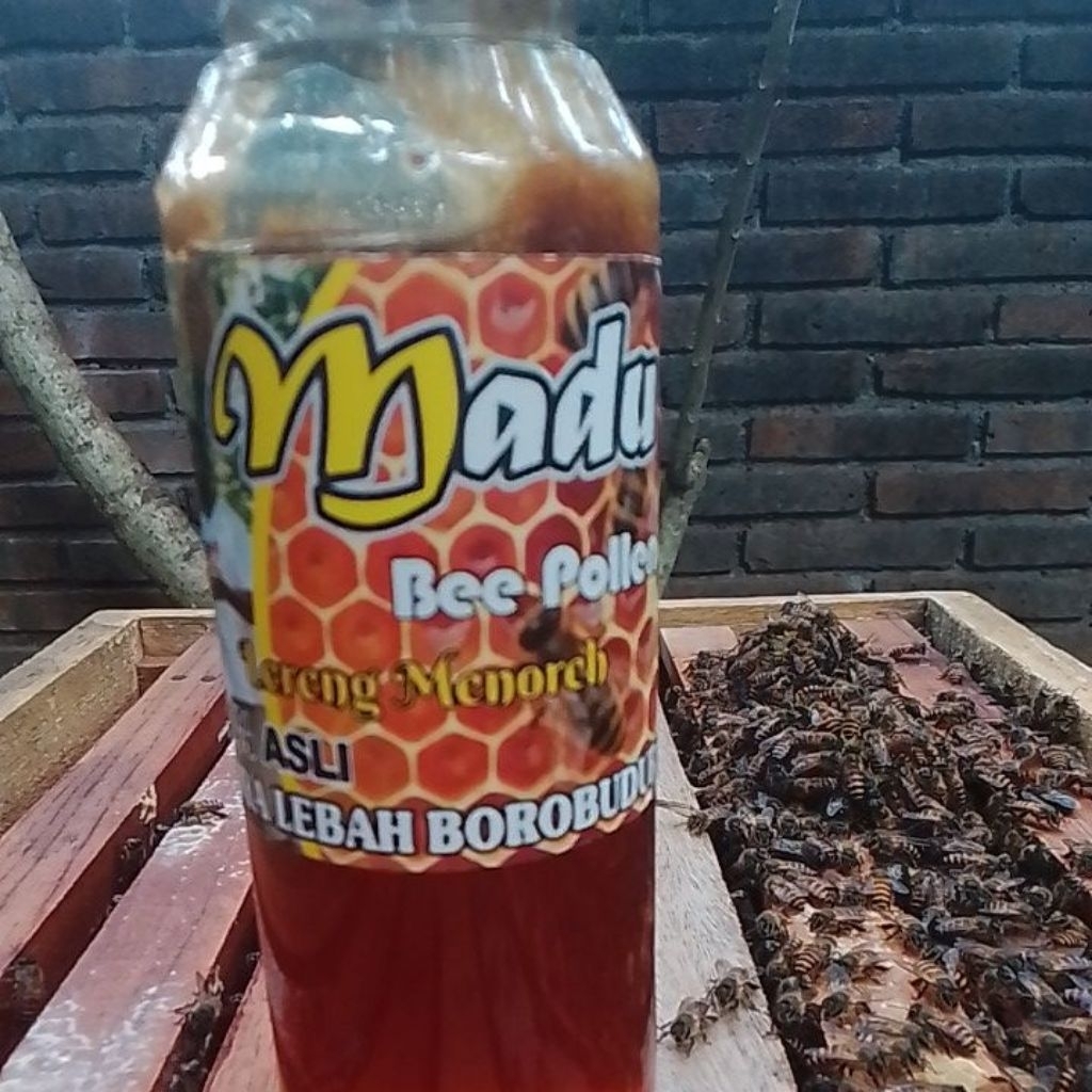 

MADU POLLEN KEMASAN 250 ML