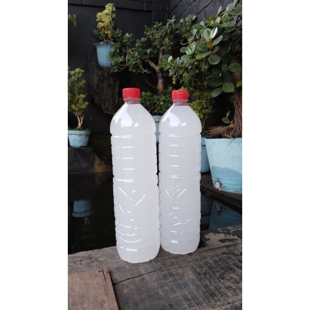 

legen kemasan 1500 ml minuman khas tuban