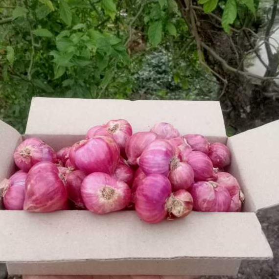 

bawang merah kering UKsuper (500gr dan 1000gr) harga terjangkau