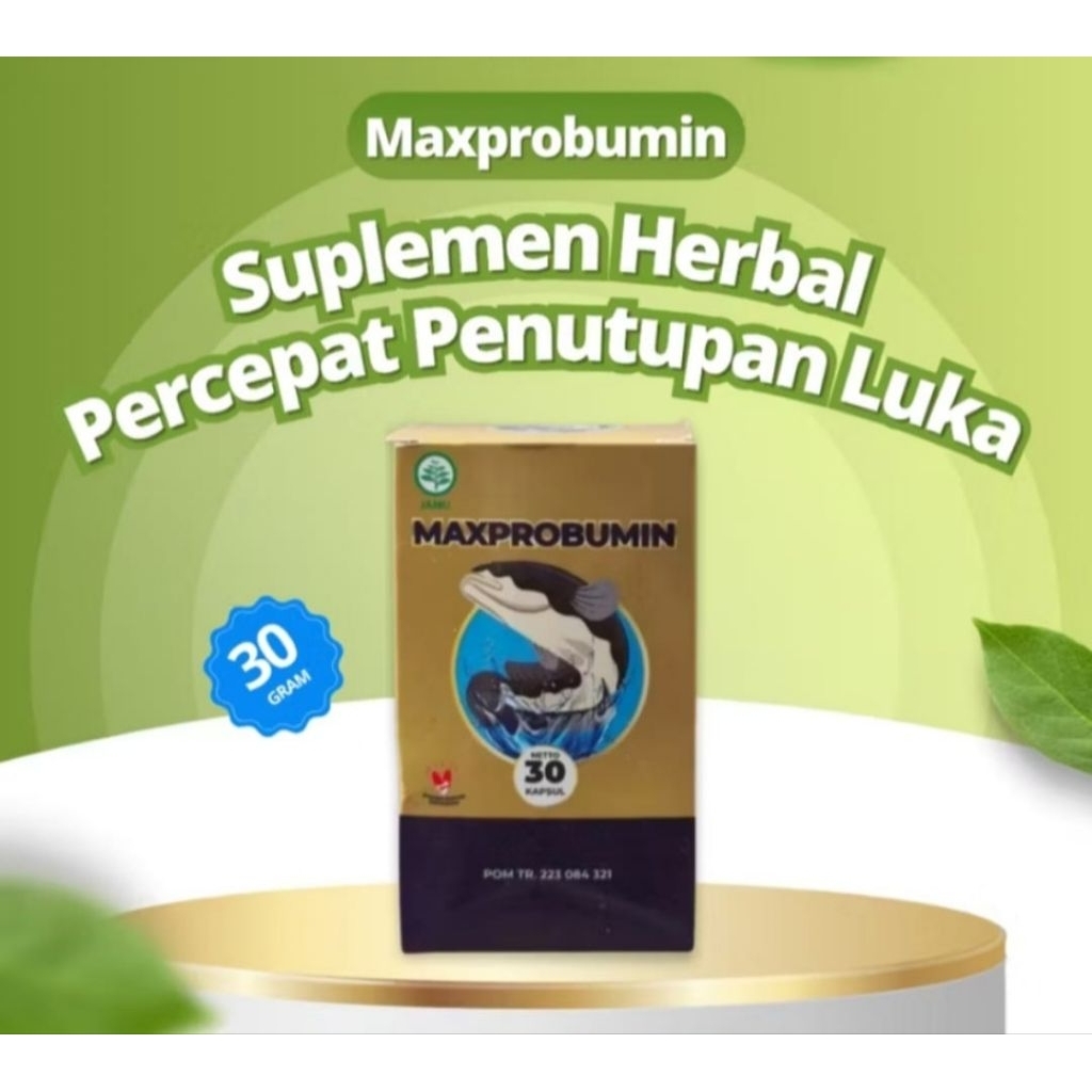 MJS Nature MAXPROBUMIN Kapsul Minyak Ikan Gabus untuk obat luka Diabetes atau Pasca Operasi