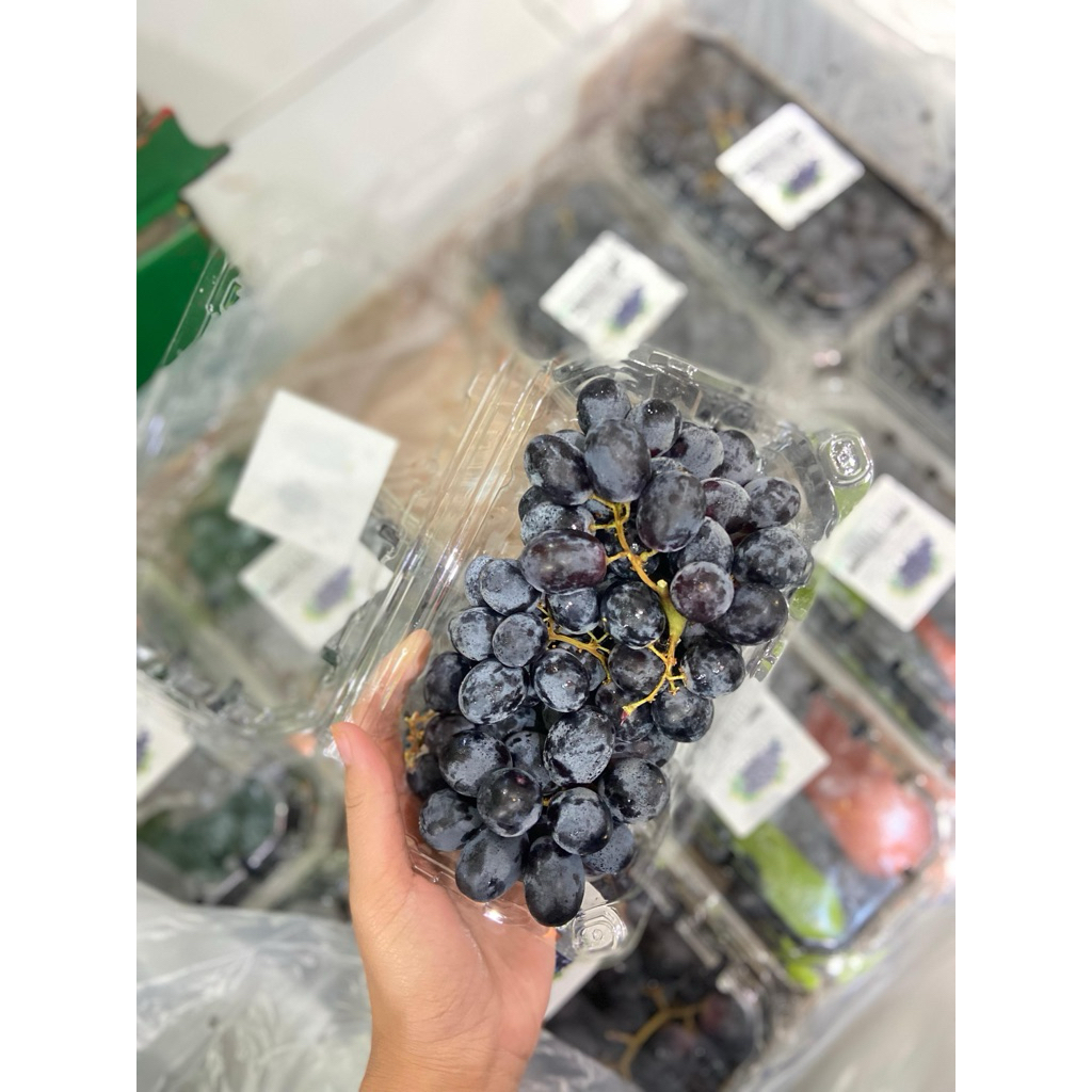 

Anggur Hitam Manis Tanpa Biji / Black Seedless Grape / 500g surabaya pengiriman instant