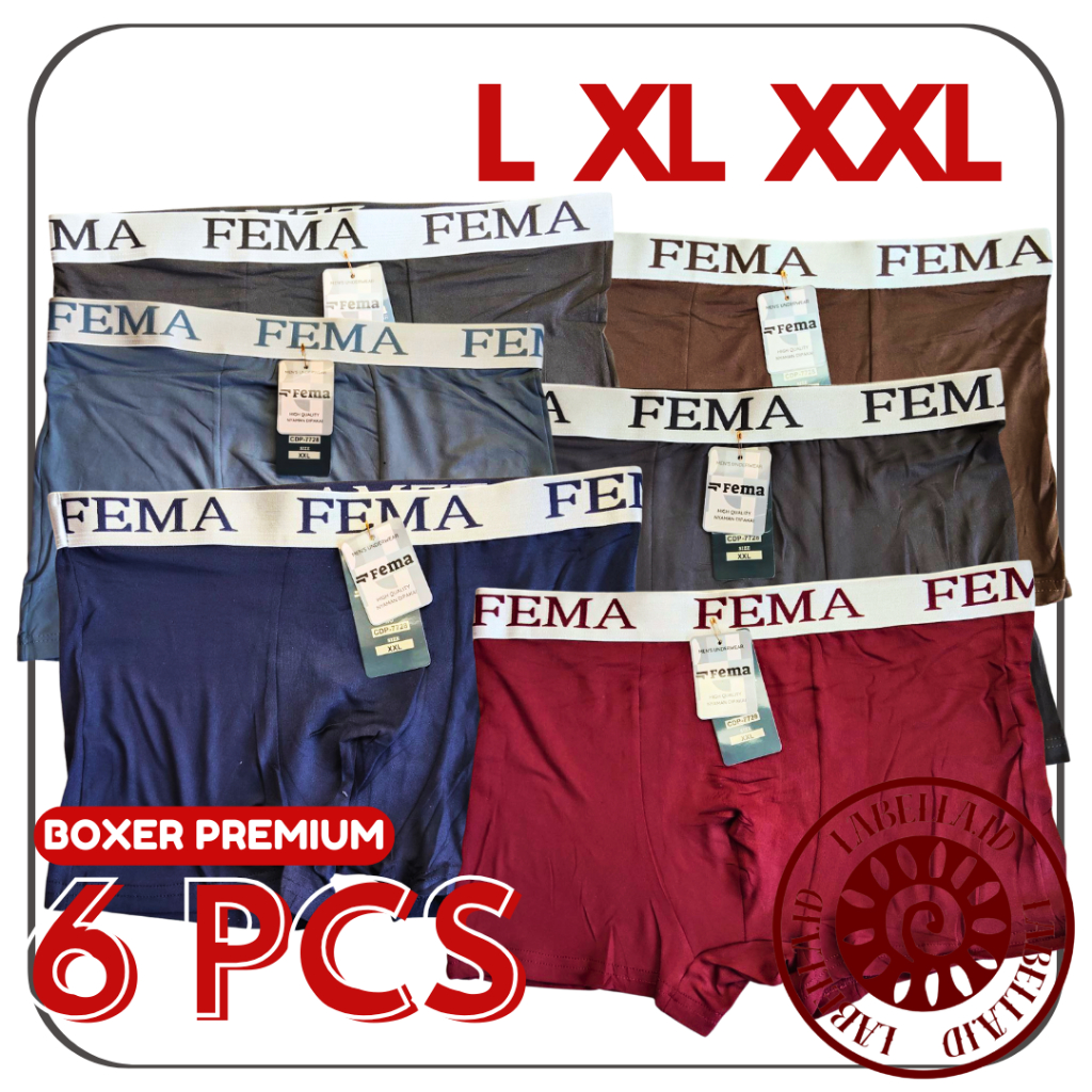 TERMURAH 6 PCS celana dalam pria Model Boxer Pria Sport FEMA Lengzhi PREMIUM LABELLAID