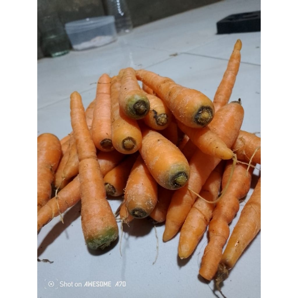 

wortel bebiy kecil 3kg