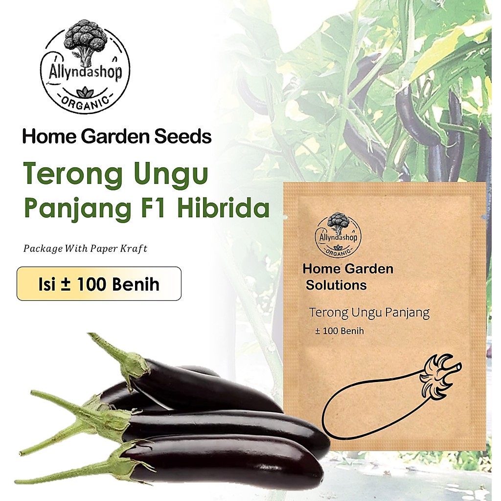 Benih Sayuran Terong Ungu Panjang F1 Hibrida