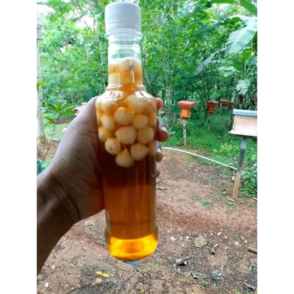 

madu mix bawang tunggal lanang