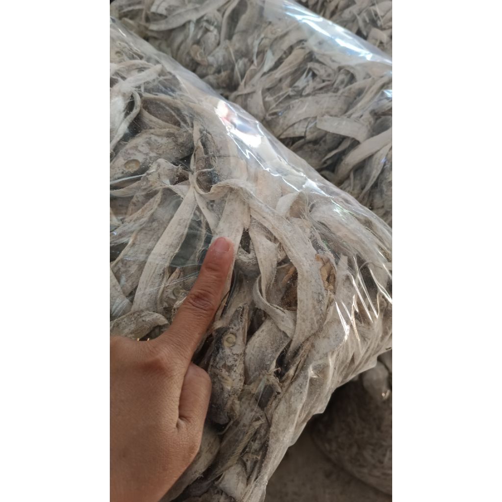 

layur super kering satu jarian