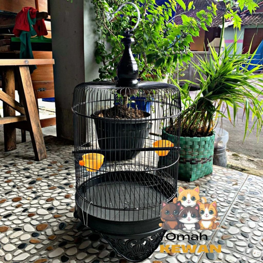 Sangkar Lovebird Tanggung Fullset Kandang Burung Love bird Lb Lengkap dengan Gantungan pion Cepuk Ta