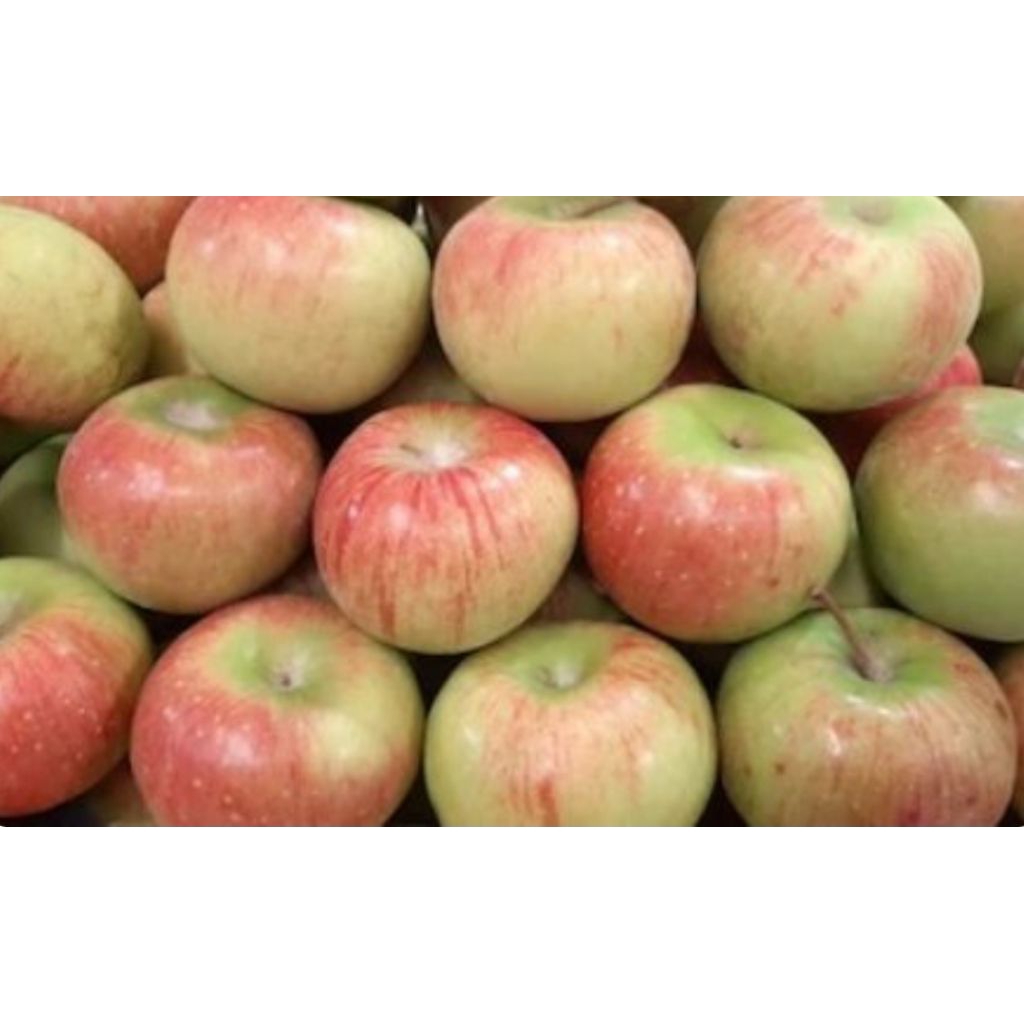 

Apel lokal instant and sameday delivery