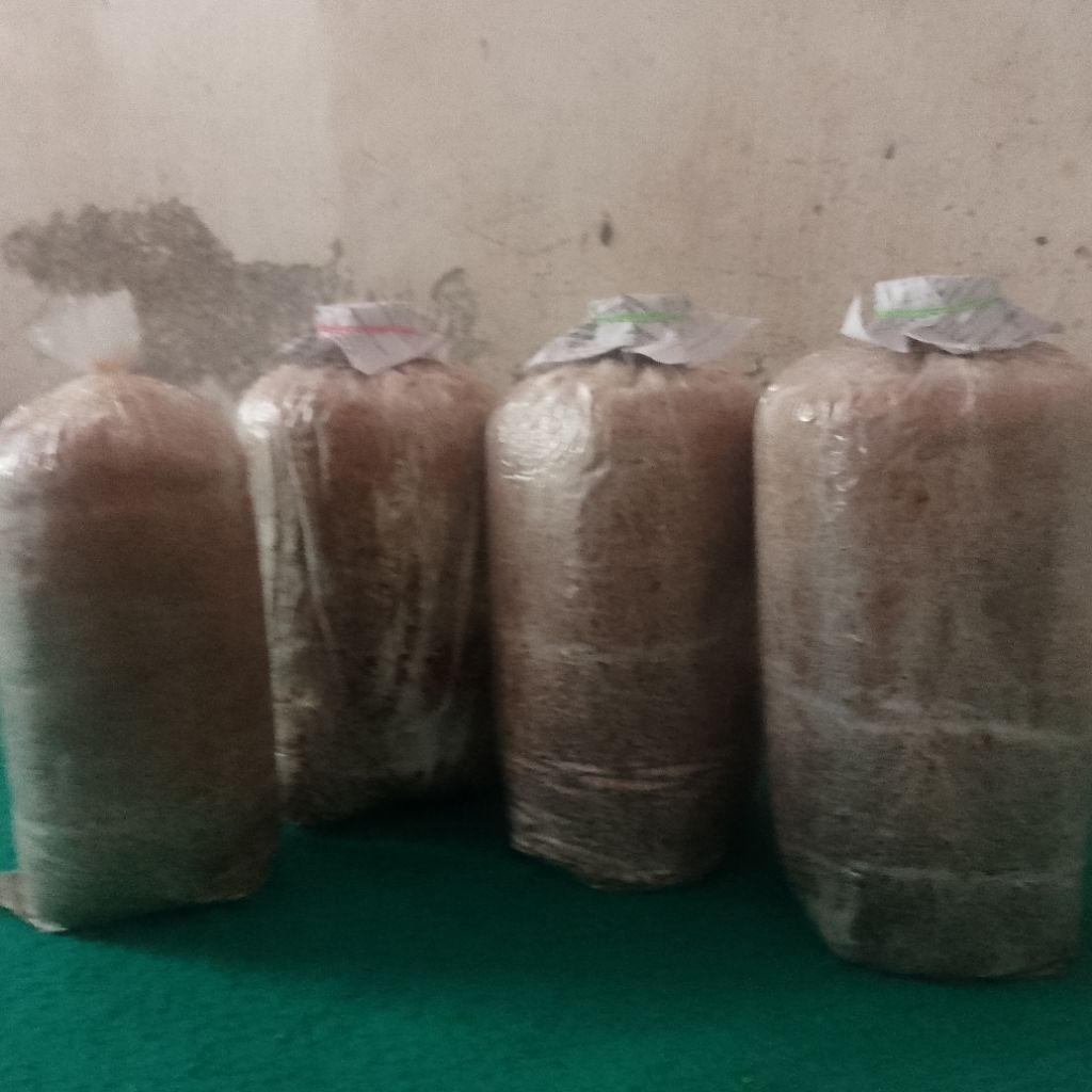 

baglong jamur berat 750 gram