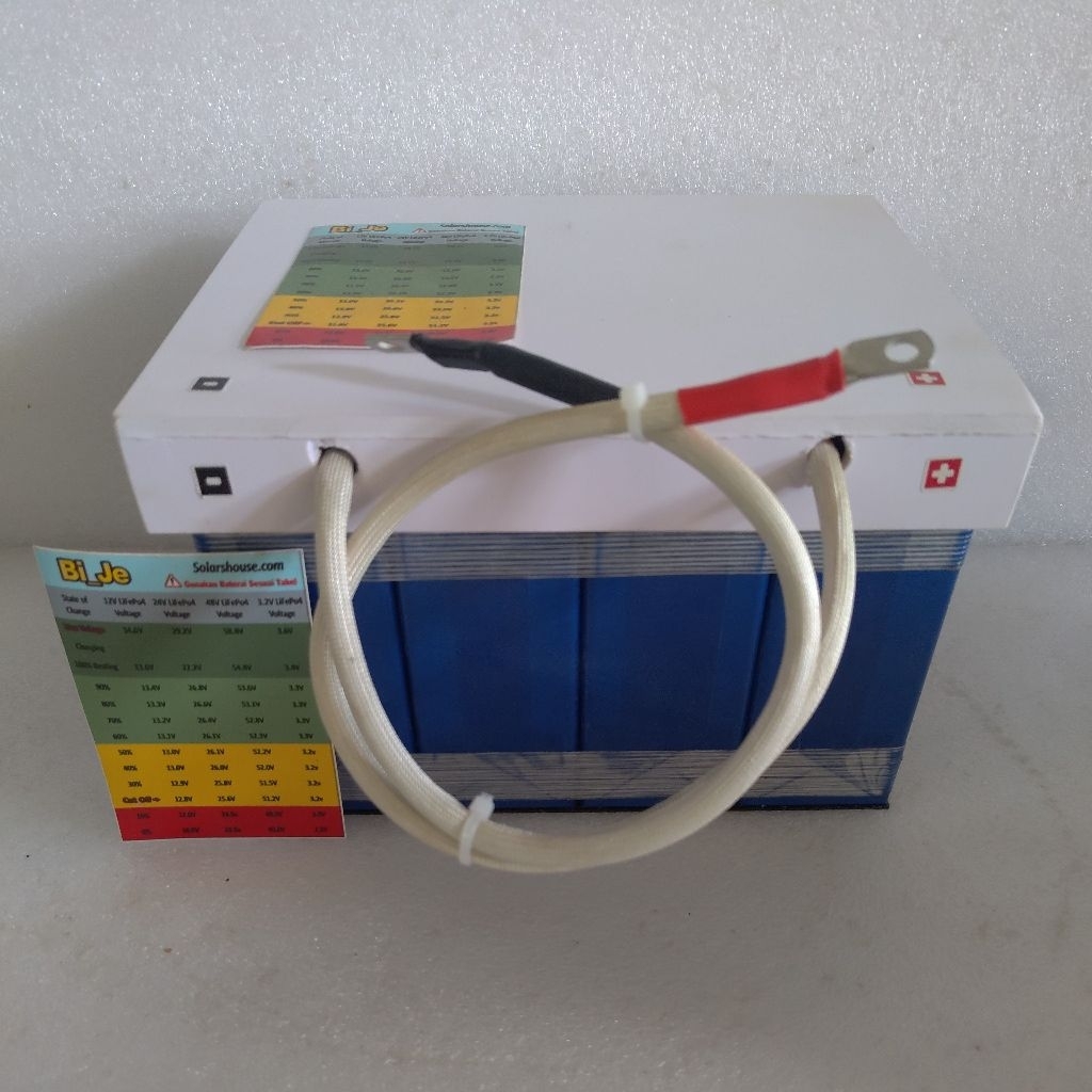 Baterai lifepo4 EVE & Yinlong 12v 100ah like new+ bms 120a