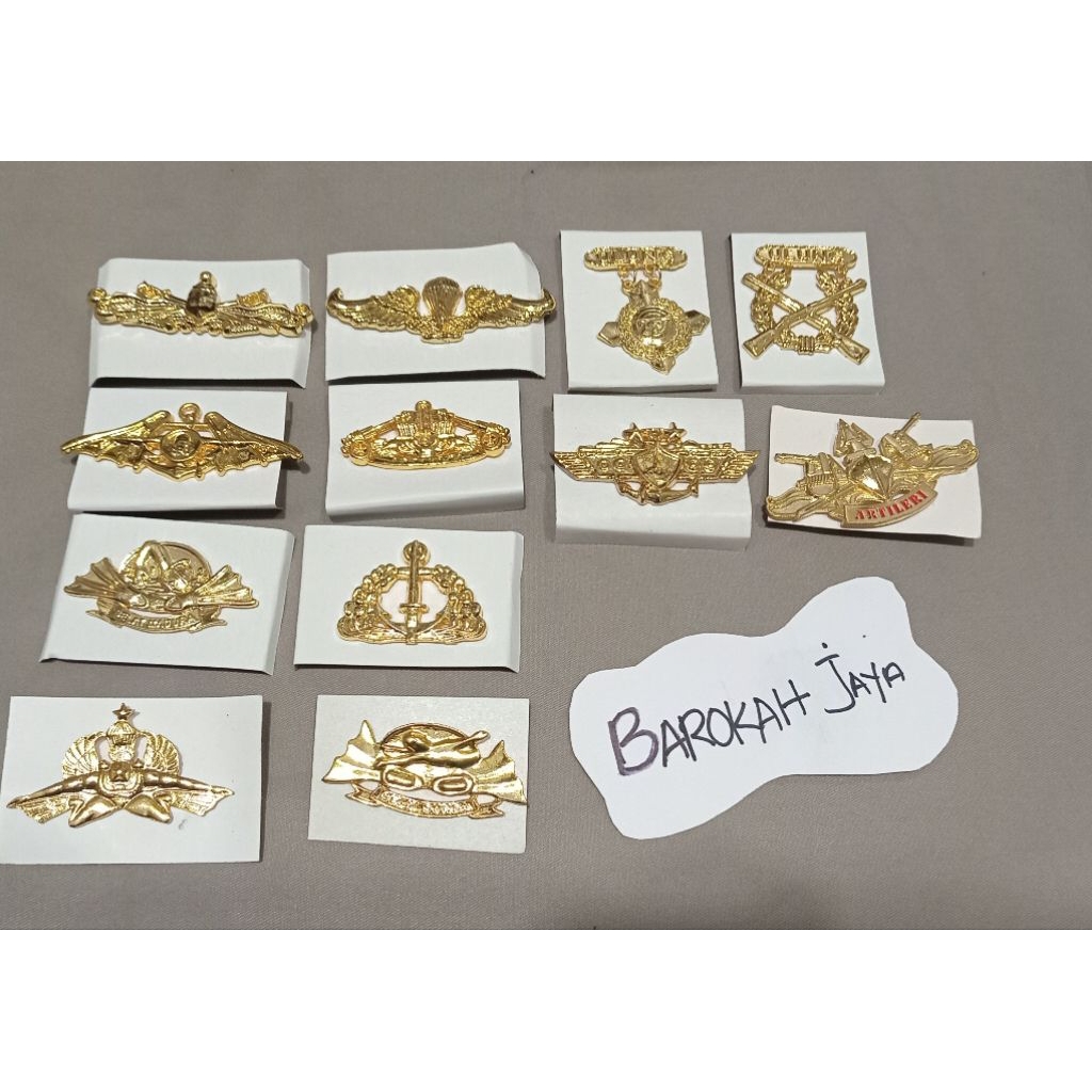 BREVET PDH CROM/ BREVET PDH tni al