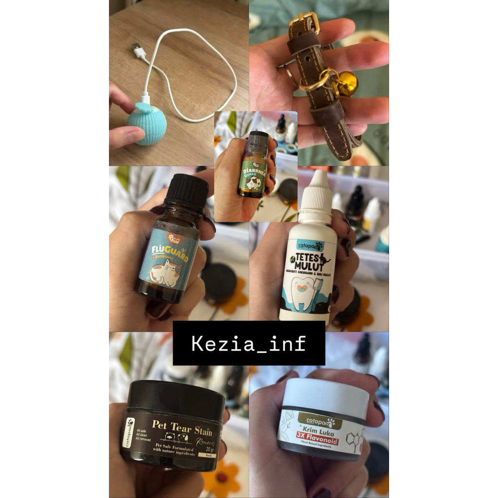COD✅ NEW PRELOVED Vitamin Kucing Anjing Kitten Dog Cat Suplemen Golden Paw Diare Guard obat Mencret 