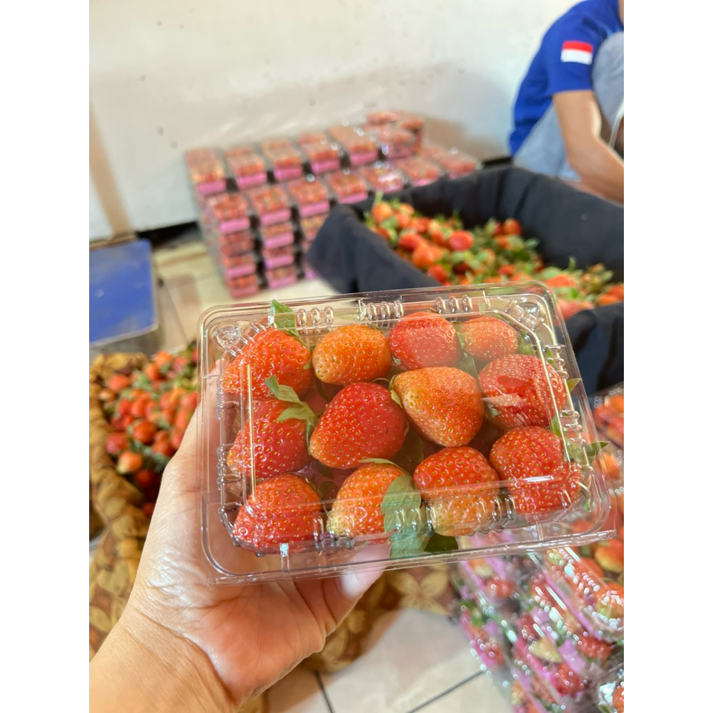 

strawberry fresh harga per 1 kg