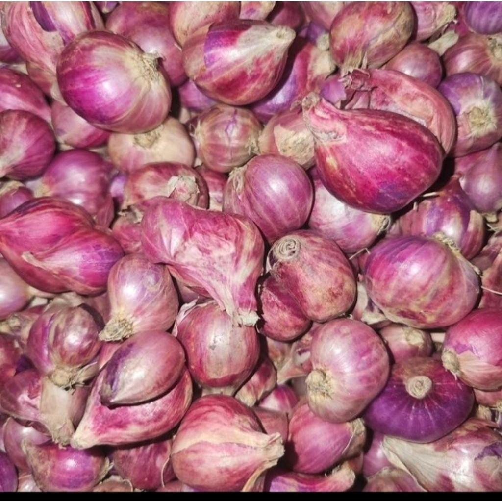 

Bawang Merah 500 Gram