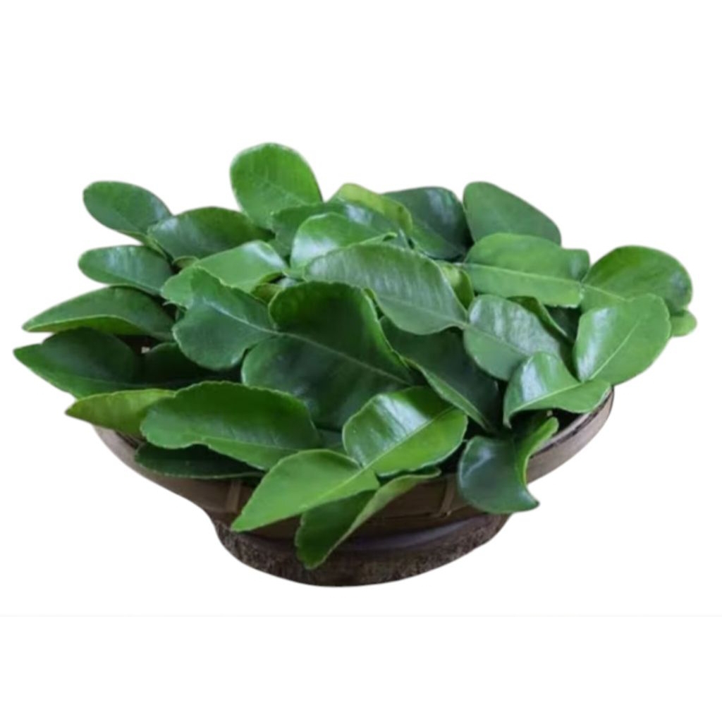 

DAUN JERUK SEGAR 250gr