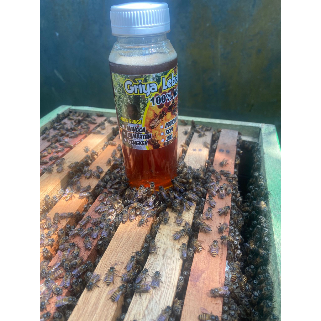 

MaduRambutankemasan250ml