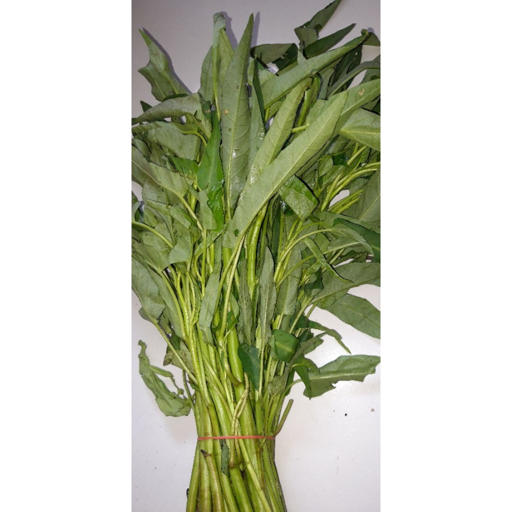 

sayur kangkung 1 ikat