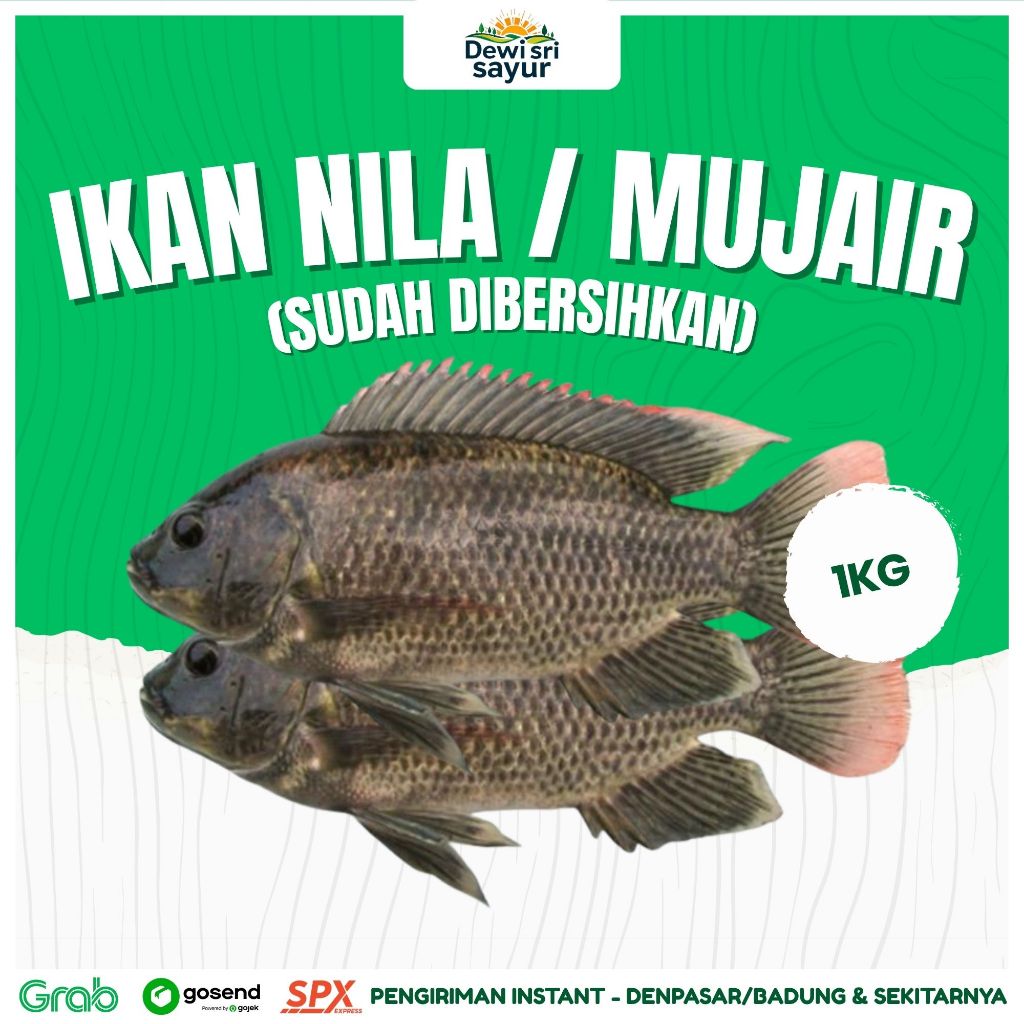 

Ikan NIla / Mujair [sudah bersih] 1kg – Dewi Sri Sayur